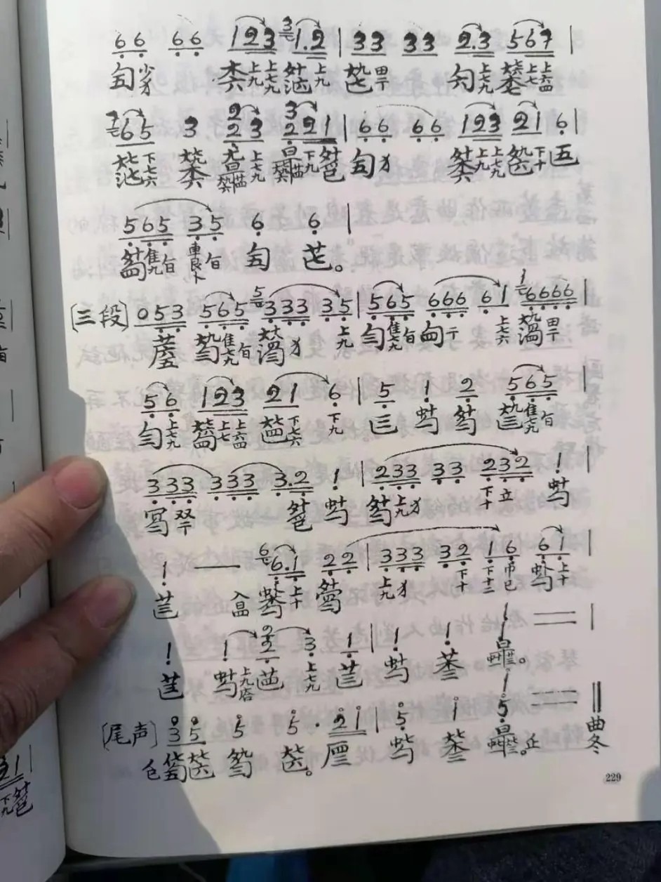 Gull forgetting machine（guqin sheet music）