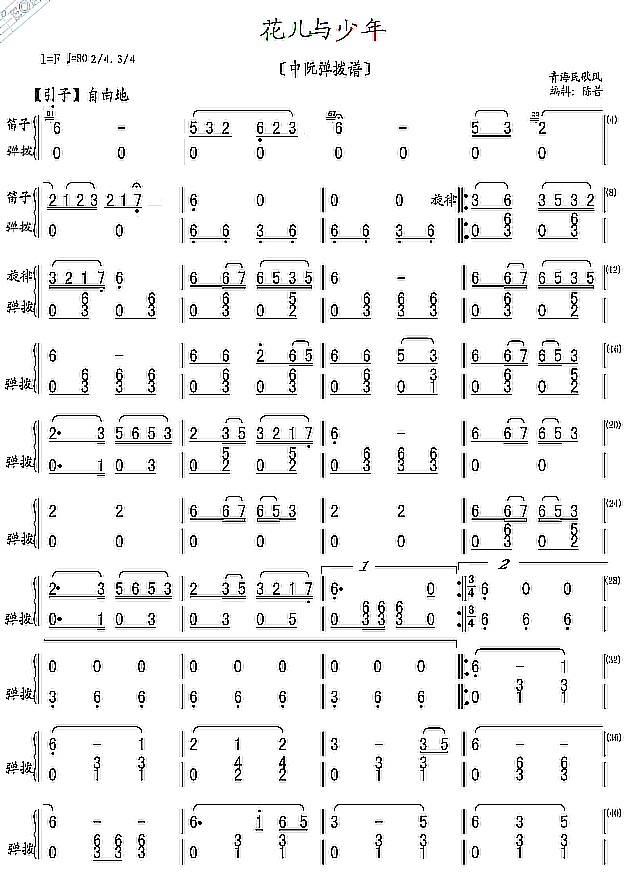 flower and boy（zhongruan sheet music）