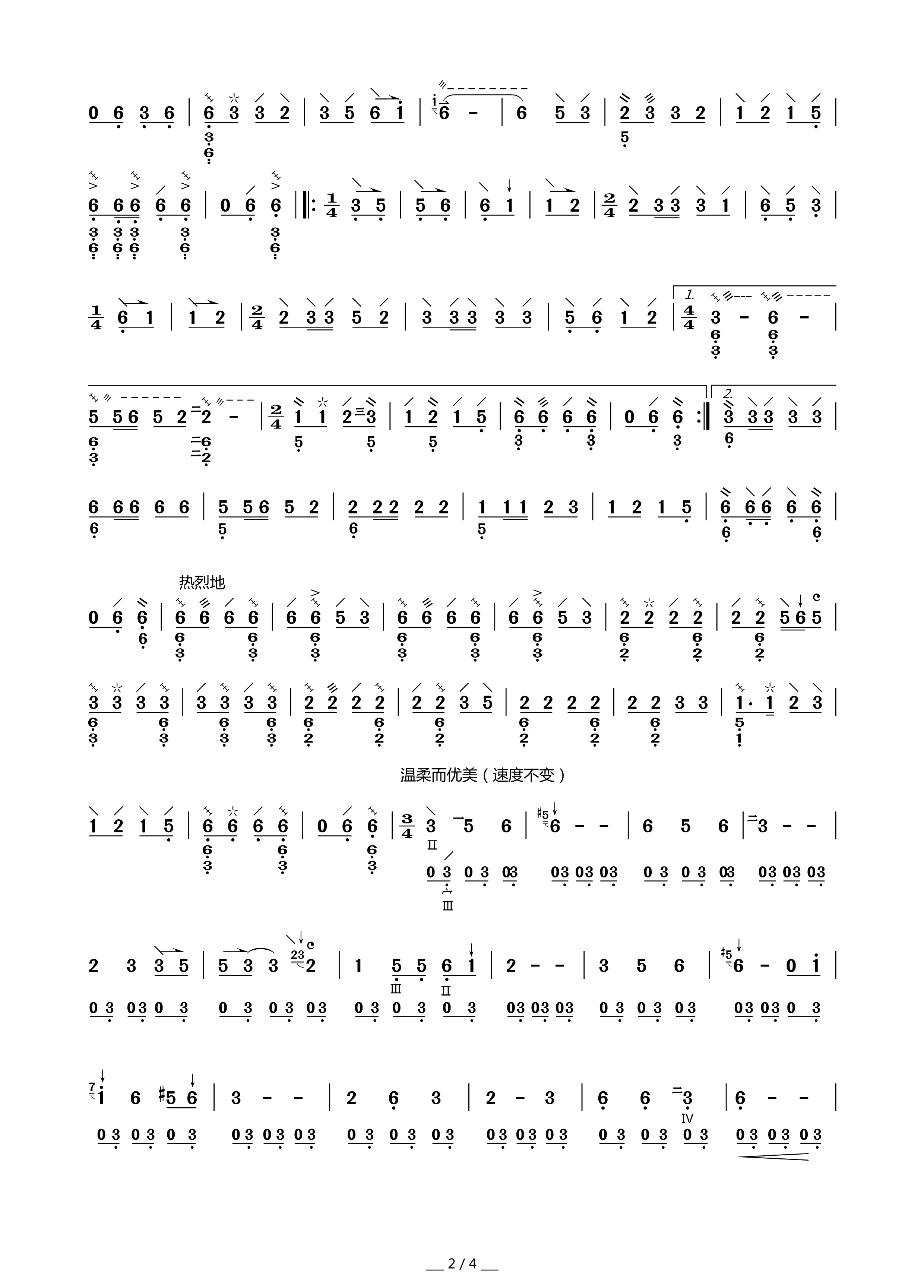 Torch Festival Night (Zhongruan)（zhongruan sheet music）