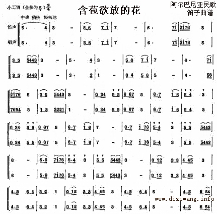 苞欲放的花