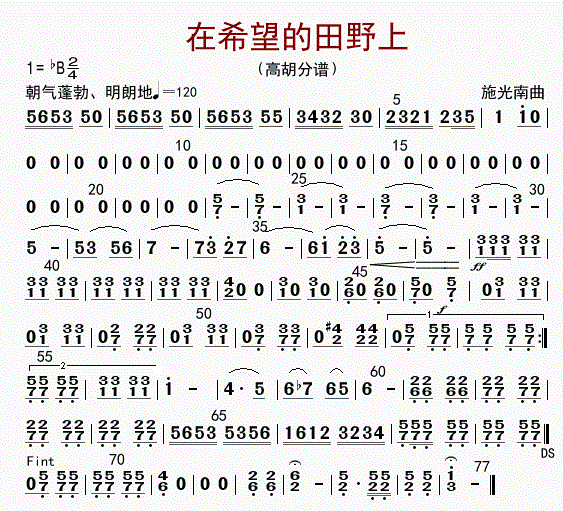 在希望的田野上（高胡）