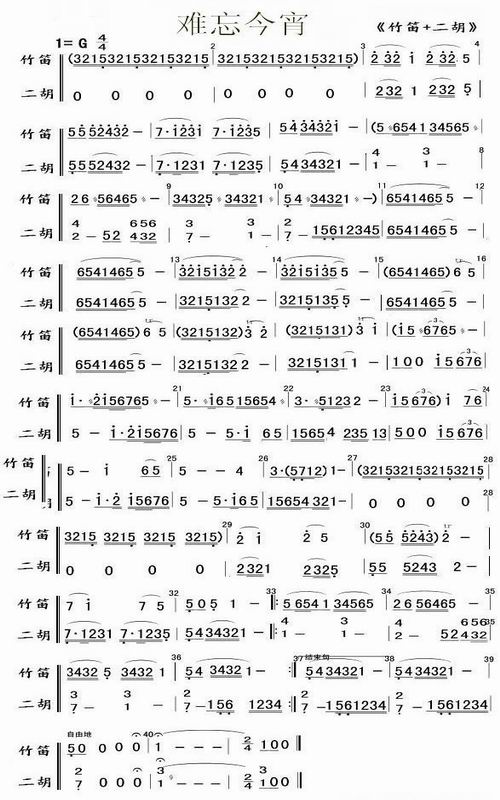 难忘今宵（竹笛+二胡）