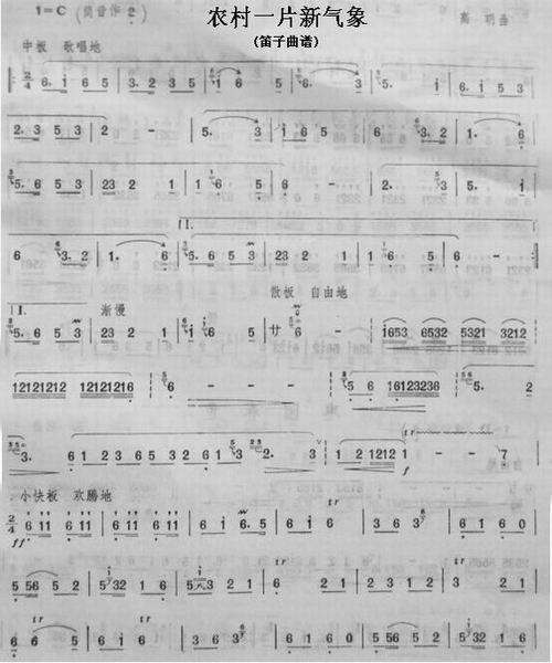 A new look in the countryside（dizi sheet music）