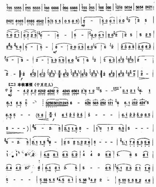 Another Harvest Year (D Key)（dizi sheet music）