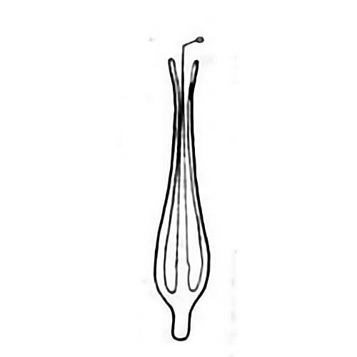 Classification of iron springs of different nationalities