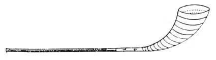 The appearance and structure of the Biduohe