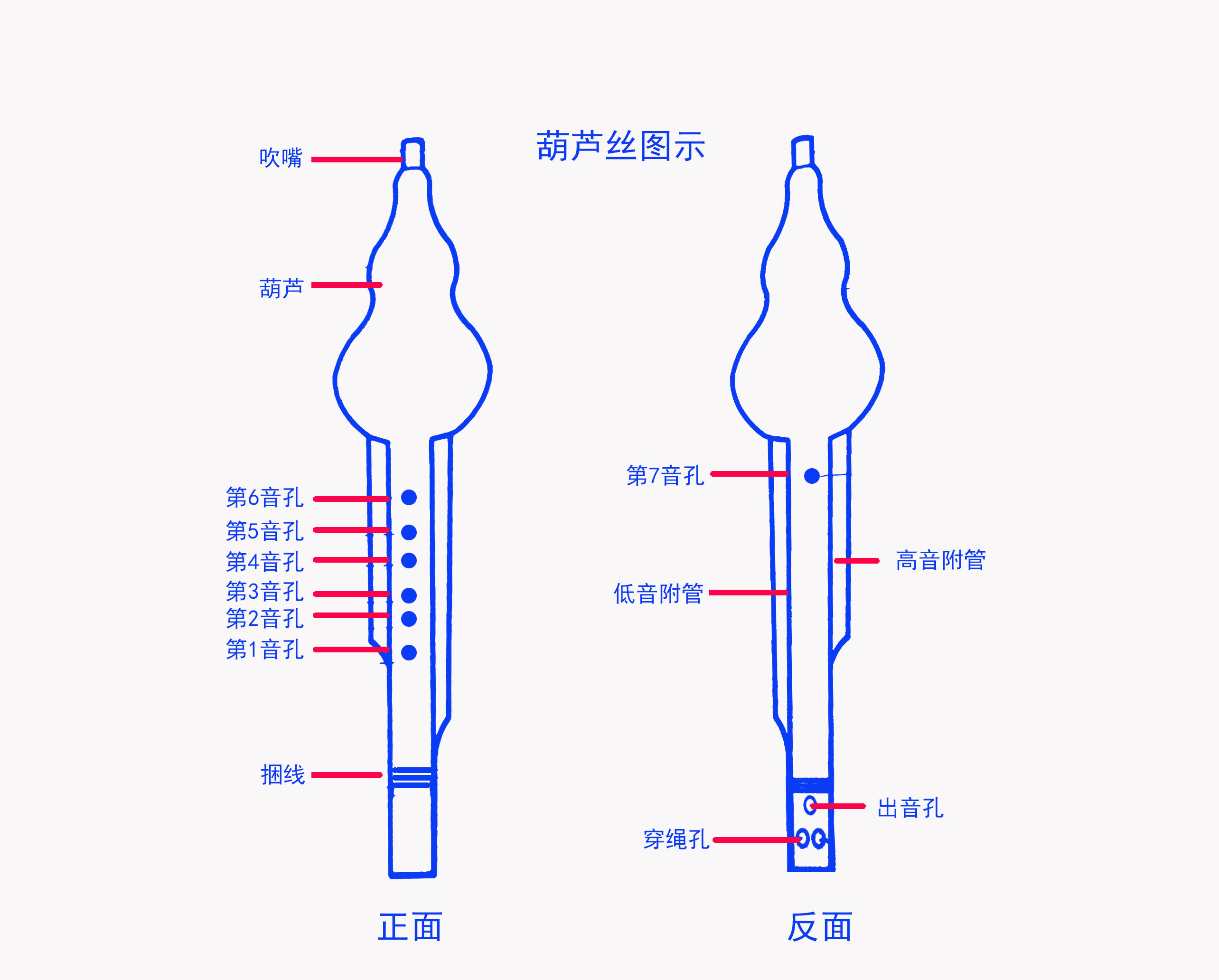 葫芦丝怎么按？葫芦丝的指法