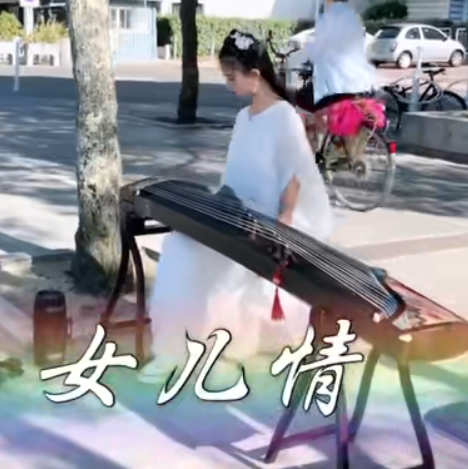 古筝演奏《女儿情》