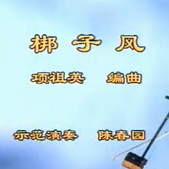 王永德《梆子风》二胡演奏讲解 陈春园示范