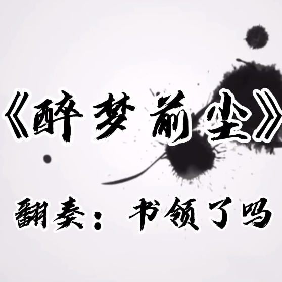 《醉梦前尘》魔道祖师主题曲竹笛演奏