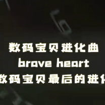 竹笛演奏《Brave Heart》数码宝贝最后的进化！