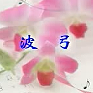 赵寒阳二胡教学： 波弓