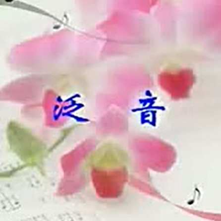 赵寒阳二胡教学： 泛音