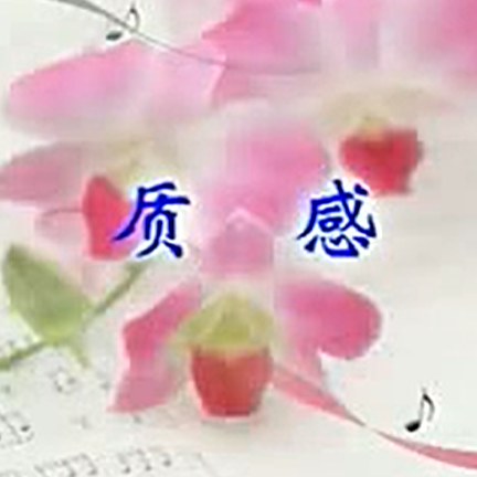 赵寒阳二胡教学： 质感