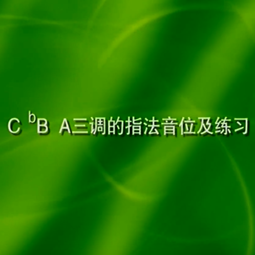 王永德：C、bB、A三调的指法音位及练习