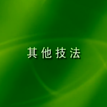 王永德：二胡的其他技法