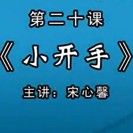 宋心馨古筝教学第二十课：《小开手》