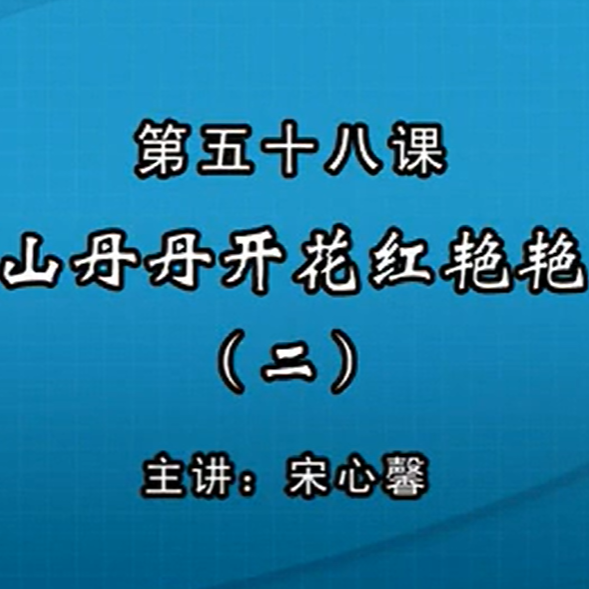 宋心馨古筝教学第五十八课：《山丹丹开花红艳艳》（二）