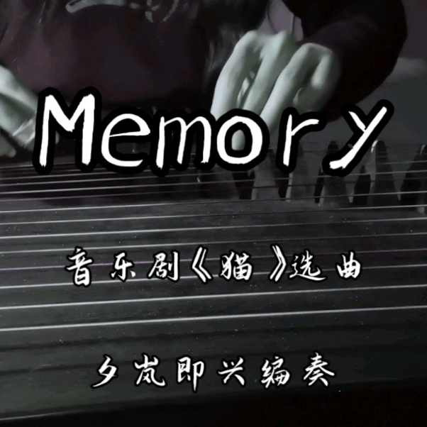 纯筝即兴编奏音乐剧《猫》脍炙人口《Memory》选段