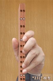 Detailed diagram of the extended finger shape of the erhu